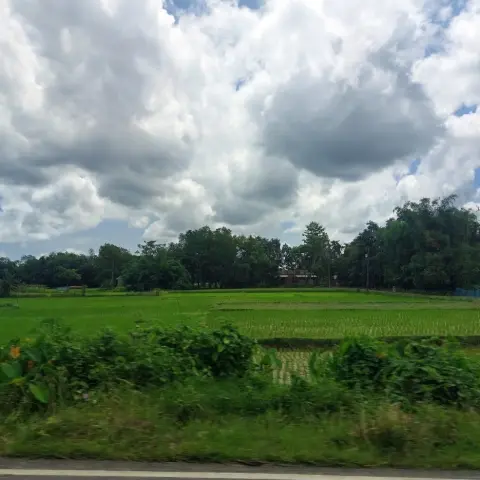 Photo shared by @alisha (2 of 2)